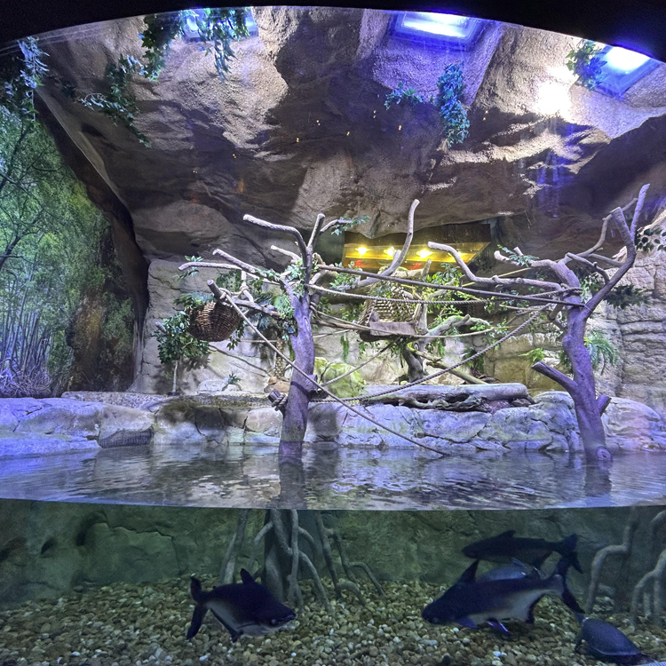 GRP Themeing Works in Dubai GRP Themeing Works