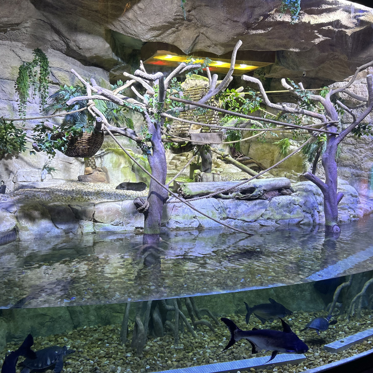 GRP Themeing Works in Dubai GRP Themeing Works