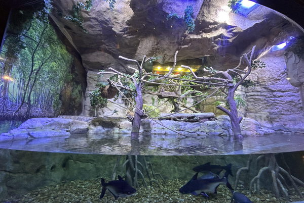 GRP Themeing Works In UAE GRP Themeing Works In UAE